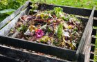 Compost bin